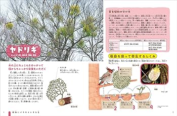 植物の本 3本セット 978-4-86152-571-1_01-1-1-